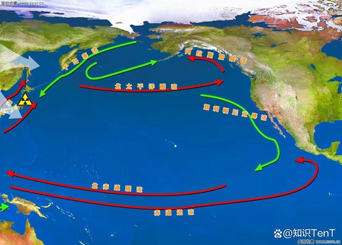 日本排核污水的影响_日本排核污水国际影响_日本核污水的排放