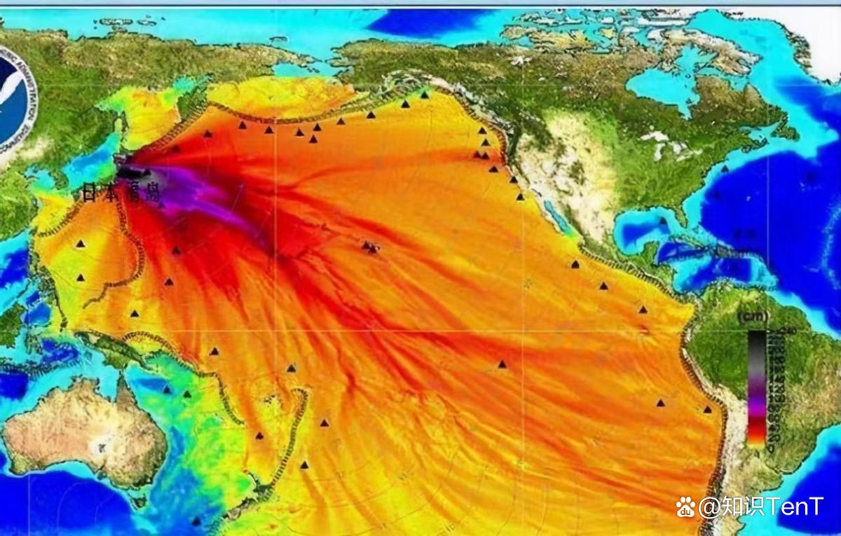 日本核污水的排放_日本排核污水的影响_日本排核污水国际影响