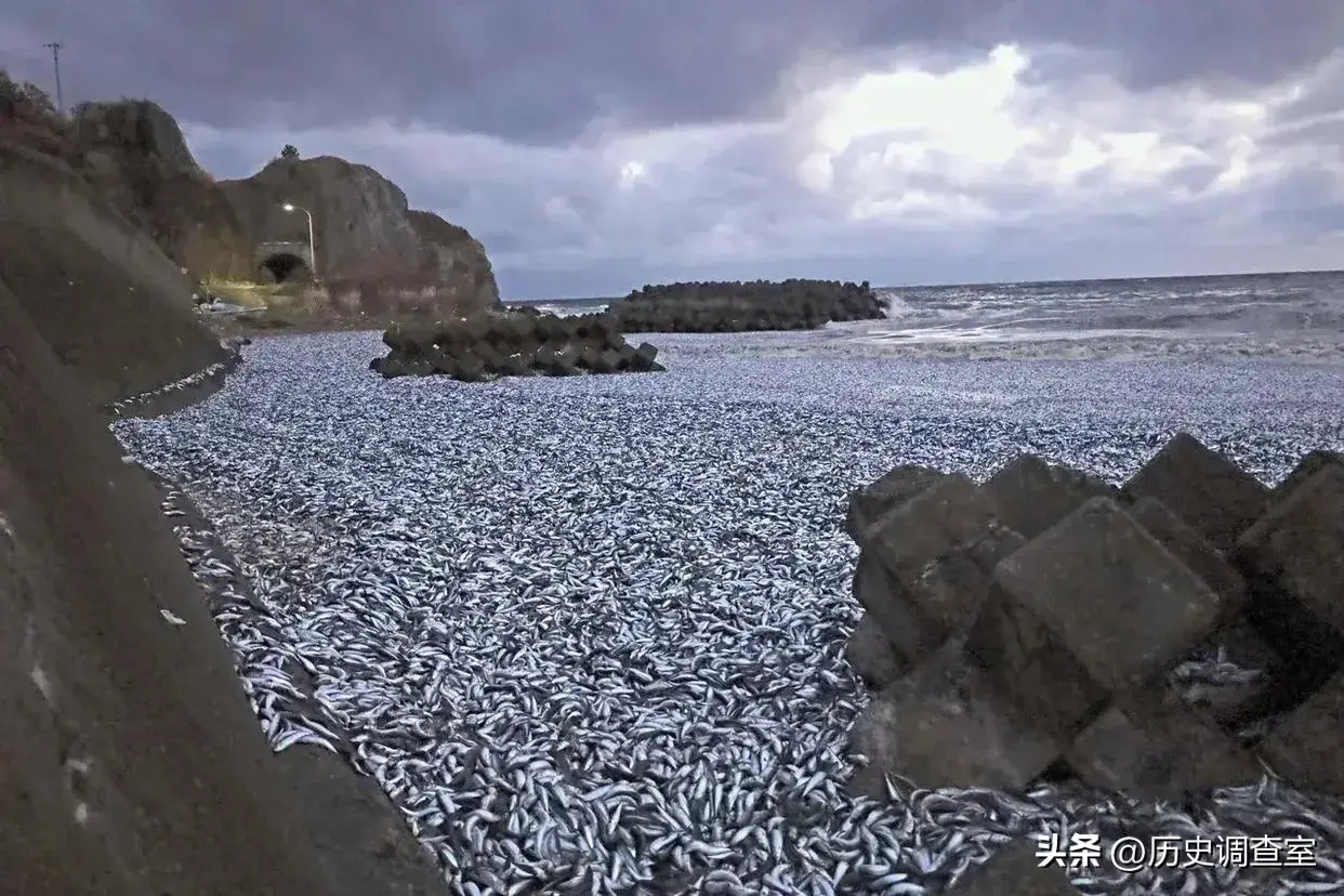 核污水问题_核污水有多恐怖_探索核污水