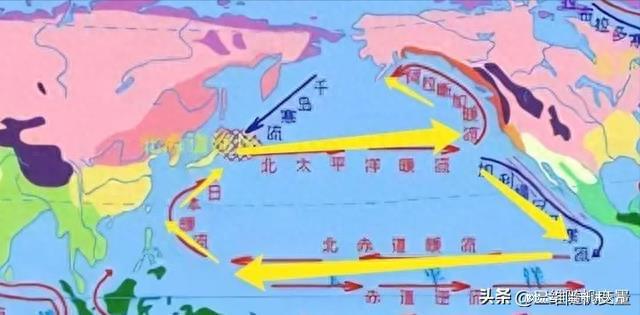 日本核污水的排放_日本排核污水国际影响_日本核污水排放影响