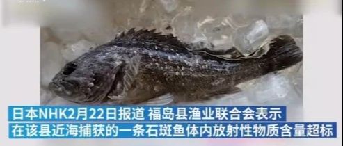 福岛核废料排入海中有什么影响_福岛排放核废料等级_福岛核废料成分