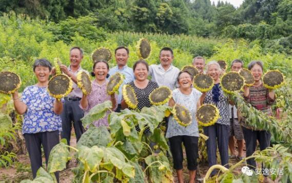 潼南污水处理厂_重庆污水处理厂工资待遇_潼南区污水处理厂